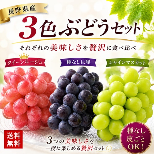 [予約直送]長野県産 3色ぶどう シャインマスカット・種なし巨峰・クイーンルージュ 各1房 【綿半お中元】【7月後半～8月中旬順次発送】【配送指定日不可】