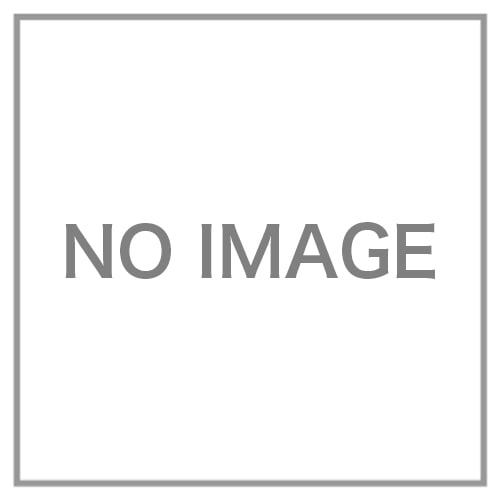 FF-VG42SK(W) ナチュラルホワイト (FF式ストーブ)