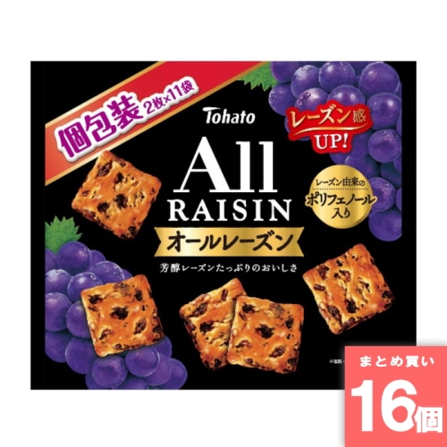 [取寄10][まとめ買い]【16個セット】ファミリーサイズ オールレーズン 22枚入 [4901940340408]