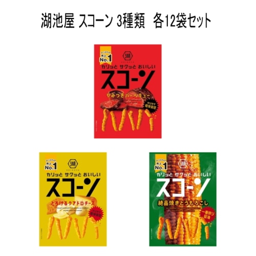[まとめ買い]【各12袋セット】湖池屋 スコーン 3種類