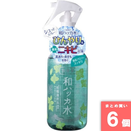 [まとめ買い]【6個セット】潤素肌 薬用和ハッカ水ミスト 250ml