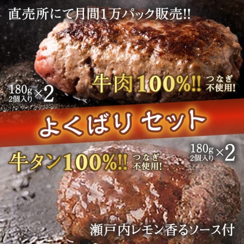 [冷凍][取寄5]牛肉100％ハンバーグ よくばりセット (ジューシーくん×2パック・牛タンハンバーグ×2パック)