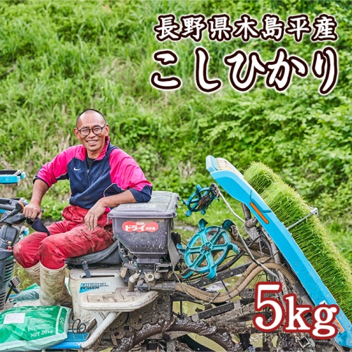 [直送10]木島平産 こしひかり 竹内農園 5kg 【配送指定日不可】