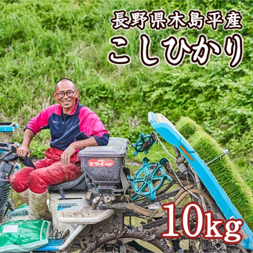 [直送10]木島平産 こしひかり 竹内農園 10kg 【配送指定日不可】