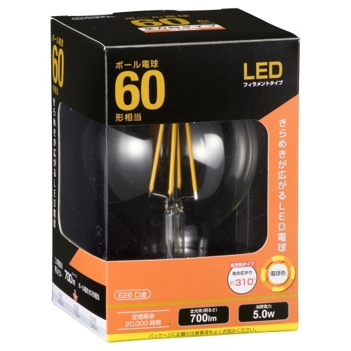LED電球 G 5W LDG5L C6 クリア