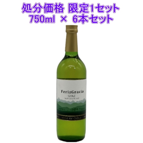 [Aランク]フェリースグラシア ソーヴィニヨン ブラン 白 750ml × 6本セット