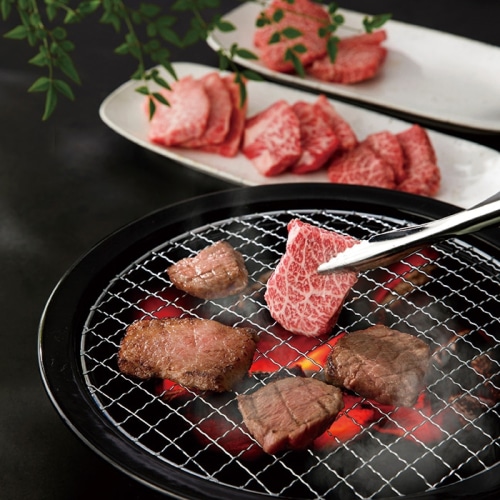 松阪牛 希少部位 焼肉 セット 三角バラ&トウガラシ (約500g) [冷凍][直送商品](4009-028)