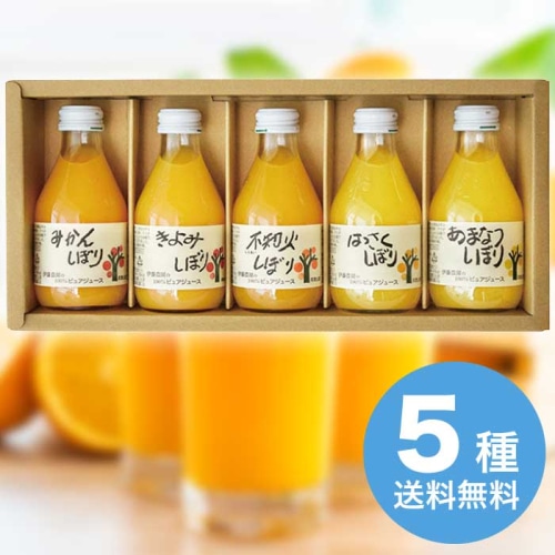 お歳暮 伊藤農園 100％ピュアジュース詰合せ 50705g [直送商品](9879-127)