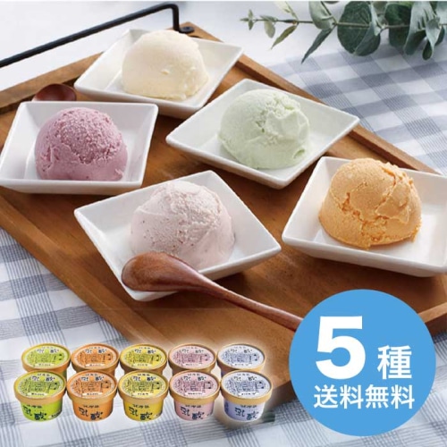 お歳暮 乳蔵 北海道アイスクリーム5種10個 [冷凍][直送商品](9825-059)