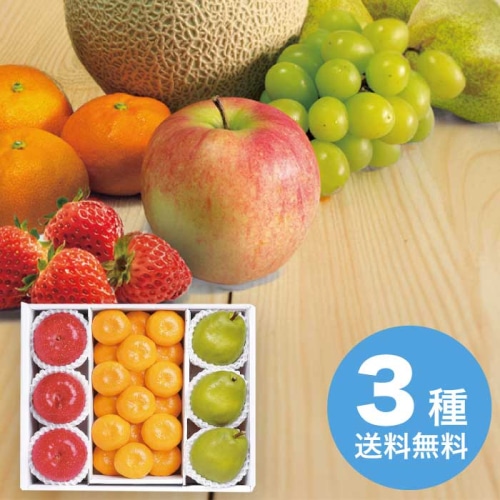 お歳暮 大阪南部合同青果 長野県産 サンふじ＆山形県産 ラフランス＆和歌山県産 みかん 【12月上旬以降順次発送】 [直送商品](9832-066)