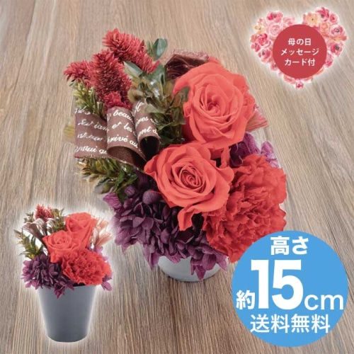 [直送商品]母の日 5/8-10お届け アークフラワースタジオ プリザーブドフラワー フルールスーリル レッド 【配送指定日不可】 (1851-945)