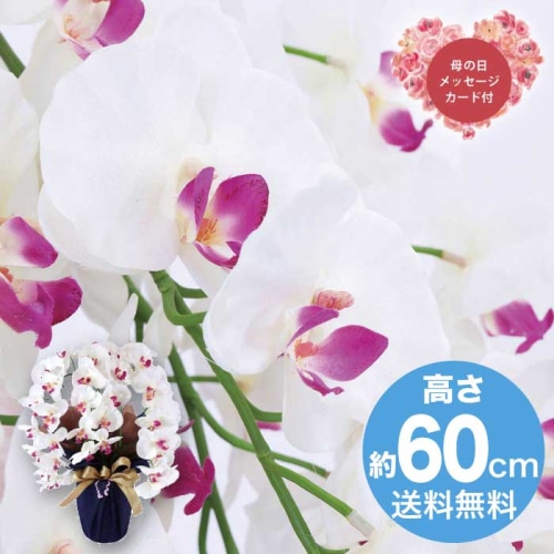 [直送商品]母の日 5/8-10お届け  アーティフィシャルフラワー大輪 胡蝶蘭３本立ち ホワイトビューティー 【配送指定日不可】 (1852-149)