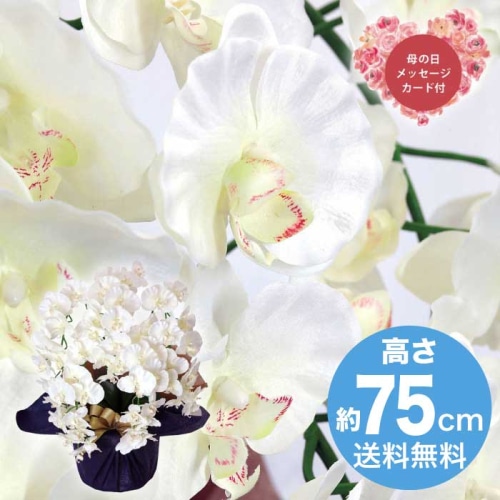 [直送商品]母の日 5/8-10お届け アークフラワースタジオ アーティフィシャルフラワー 5本立ち胡蝶蘭 ホワイト 【配送指定日不可】 (1852-175)
