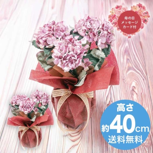 [直送商品]母の日 5/8-10お届け アークフラワースタジオ アーティフィシャルフラワー紫陽花3本立ち パープル 【配送指定日不可】 (1852-214)