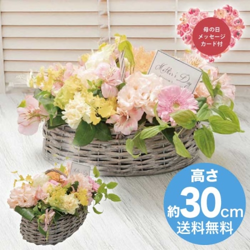 [直送商品]母の日 5/8-10お届け アークフラワースタジオ 生花バスケットアレンジ 【配送指定日不可】 (1852-377)
