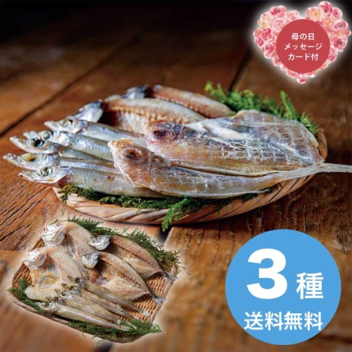 [冷凍][直送商品]母の日 5/8-10お届け エルスト 山陰海鮮一夜干しセット 【配送指定日不可】 (1852-783)