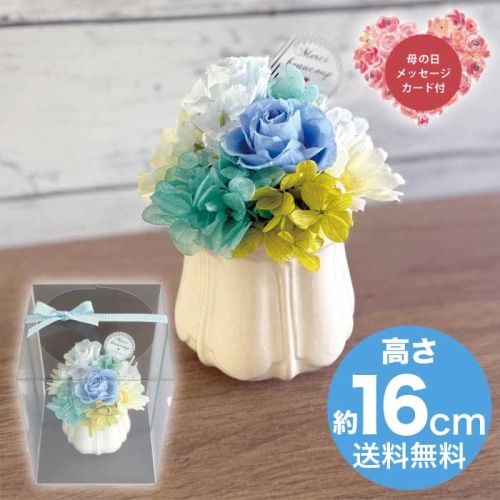 [直送商品]母の日 5/8-10お届け スープ プリザーブドフラワーアレンジメント パルフェ ブルー 【配送指定日不可】 (1853-709)