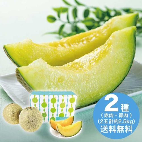 [直送10]お中元  山形県産 華の会の庄内砂丘メロン2玉(赤・青肉) 【7月上旬以降順次発送】【配送指定日不可】 (1626-037)