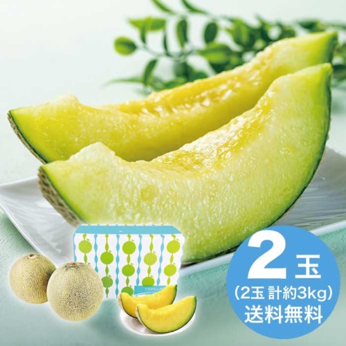 [直送10]お中元  山形県産 華の会の庄内砂丘メロン大玉2玉(青肉) 【7月上旬以降順次発送】【配送指定日不可】 (1626-049)