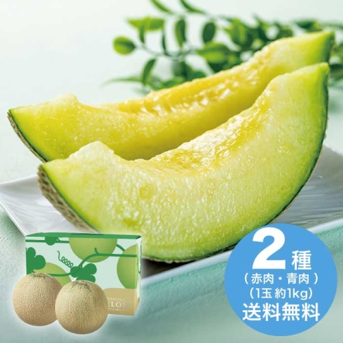 [直送10]お中元  山形県産 JA鶴岡 庄内砂丘メロン2玉(赤・青) 【7月上旬以降順次発送】【配送指定日不可】 (1626-051)