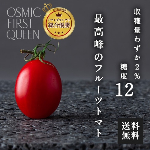 [冷蔵][直送5]OSMIC FIRST QUEEN フルーツトマト 約450g 送料無料 【配送指定日不可】