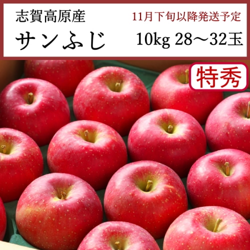 送料無料 長野県志賀高原産 サンふじりんご 特秀 10kg 28～32玉 [問合直送]【11月下旬以降順次発送】【配送指定日不可】