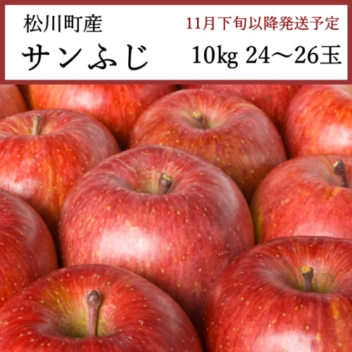 送料無料 長野県松川町産 サンふじりんご 10kg 24～26玉 [問合直送]【11月下旬以降順次発送】【配送指定日不可】