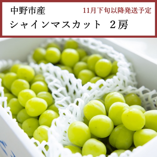 送料無料 長野県中野市産 シャインマスカット 2房 [問合直送]【11月下旬以降順次発送】【配送指定日不可】