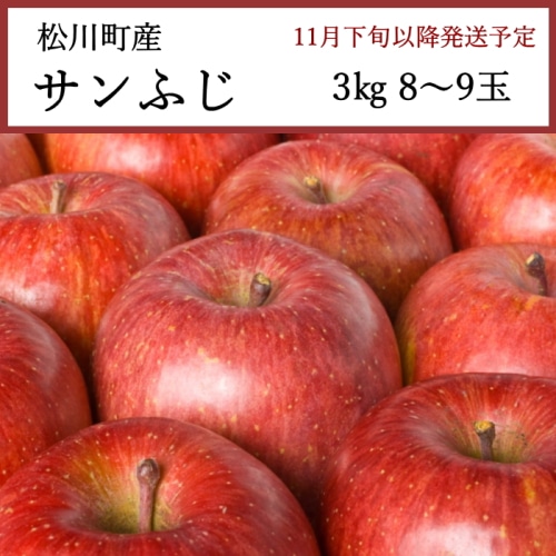 送料無料 長野県松川町産 サンふじりんご 3kg 8～9玉 [問合直送]【11月下旬以降順次発送】【配送指定日不可】