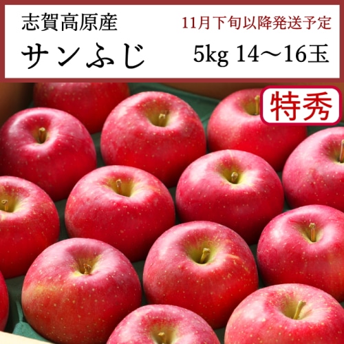 送料無料 長野県志賀高原産 サンふじりんご 特秀 5kg　14～16玉 [問合直送]【11月下旬以降順次発送】【配送指定日不可】