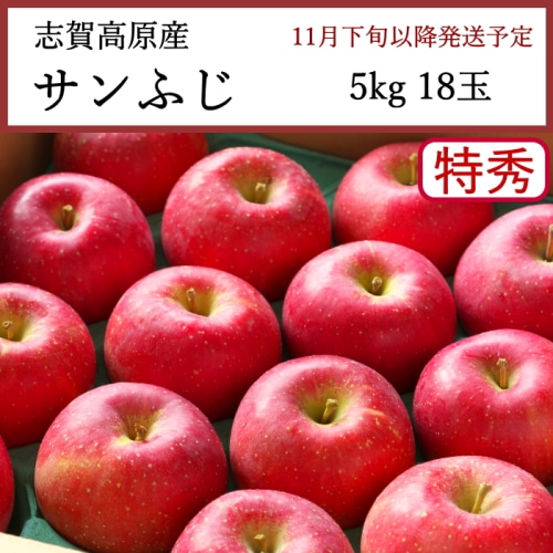 送料無料 長野県志賀高原産 サンふじりんご 特秀 5kg 18玉 [問合直送]【11月下旬以降順次発送】【配送指定日不可】