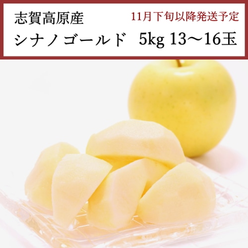 送料無料 長野県志賀高原産 シナノゴールド りんご 5kg 13～16玉 [問合直送]【11月下旬以降順次発送】【配送指定日不可】