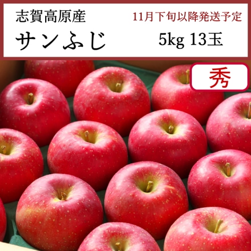 送料無料 長野県志賀高原産 サンふじりんご 秀 5kg 13玉 [問合直送]【11月下旬以降順次発送】【配送指定日不可】