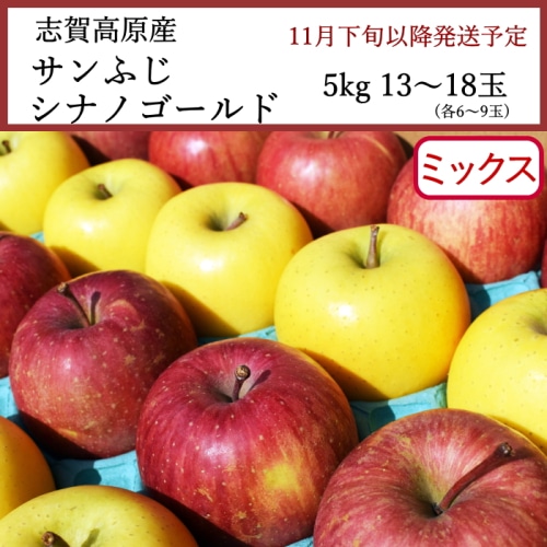 送料無料 長野県志賀高原産 サンふじりんご・シナノゴールド ミックス りんご 5kg 13～18玉（各6～9玉）[問合直送] 【11月下旬以降順次発送】【配送指定日不可】