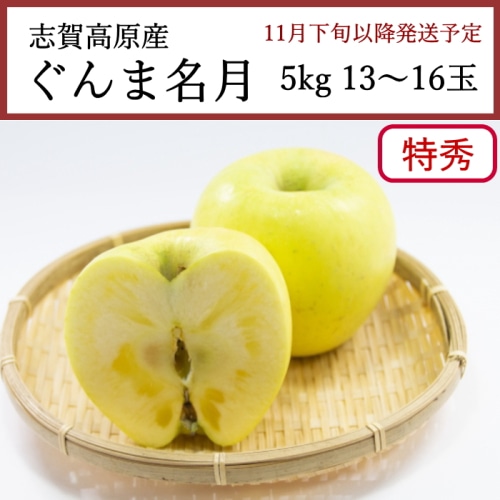 送料無料 長野県志賀高原産 ぐんま名月 特秀 りんご 5kg 13～16玉 [問合直送]【11月下旬以降順次発送】【配送指定日不可】