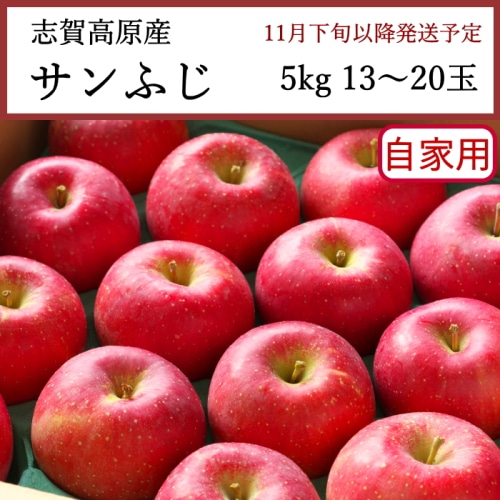 送料無料 長野県志賀高原産 サンふじりんご 自家用 5kg 13～20玉 [問合直送]【11月下旬以降順次発送】【配送指定日不可】