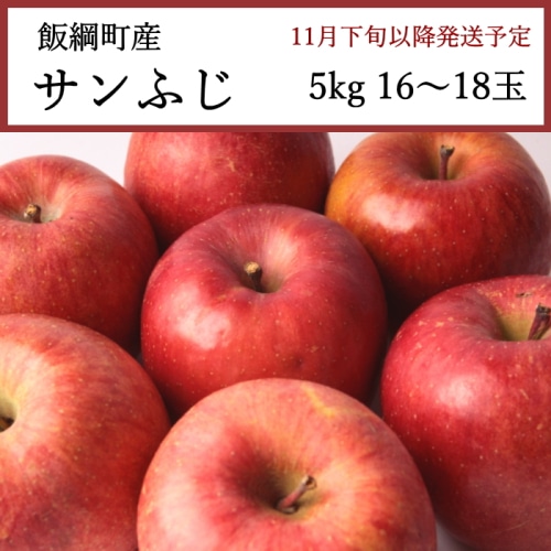 送料無料 長野県飯綱町産 サンふじりんご 5kg 16～18玉 [問合直送]【11月下旬以降順次発送】【配送指定日不可】