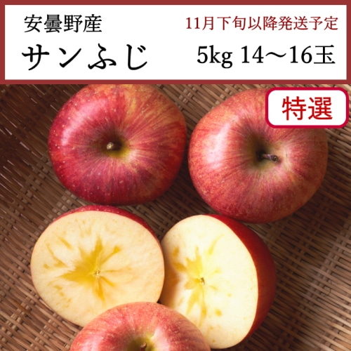 送料無料 長野県安曇野産 サンふじりんご 特選 5kg 14～16玉 [問合直送]【11月下旬以降順次発送】【配送指定日不可】