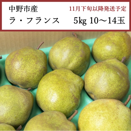 送料無料 長野県中野市産 ラ・フランス 5kg 10～14玉 [問合直送]【11月下旬以降順次発送】【配送指定日不可】