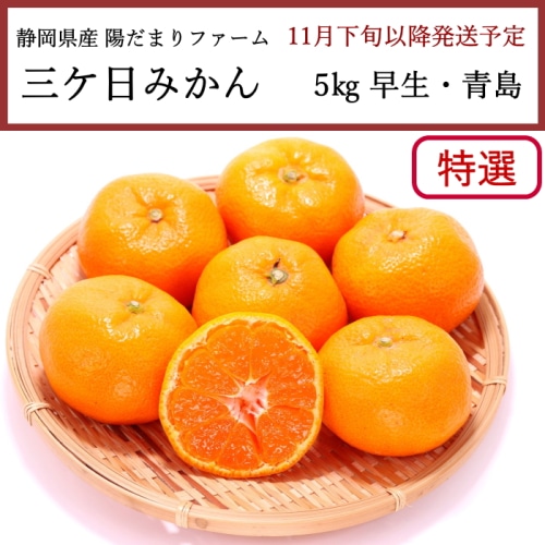 送料無料 静岡県産 陽だまりファーム 三ケ日みかん 特選 5kg S/M/L 早生・青島 [問合直送]【11月下旬以降順次発送】【配送指定日不可】