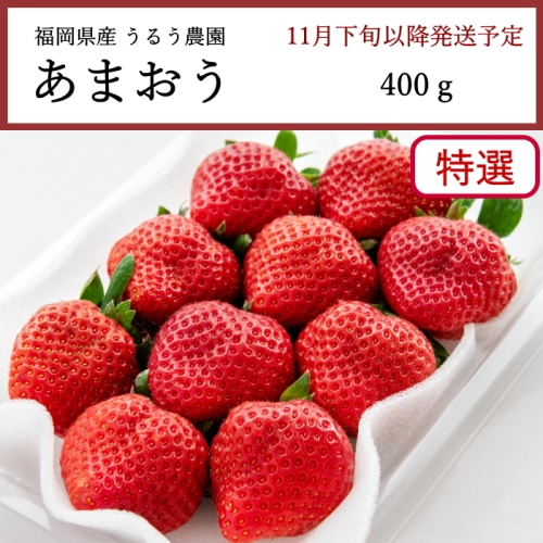 送料無料 福岡県産 うるう農園 あまおう 特選 400g [問合直送]【11月下旬以降順次発送】【配送指定日不可】