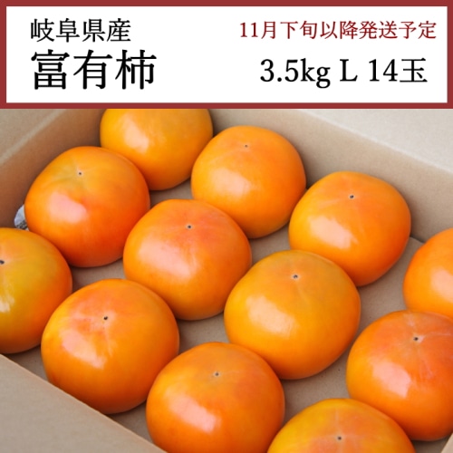 送料無料 岐阜県産 富有柿 3.5kg L 14玉 [問合直送]【11月下旬以降順次発送】【配送指定日不可】