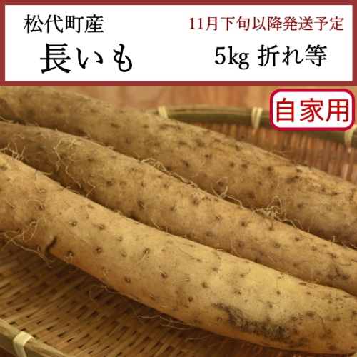 送料無料 長野県松代町産 長いも 家庭用 5kg 折れ等 [問合直送]【11月下旬以降順次発送】【配送指定日不可】