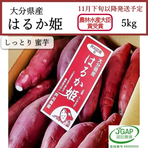 送料無料 大分県産 はるか姫(紅はるか) 5kg [問合直送]【11月下旬以降順次発送】【配送指定日不可】