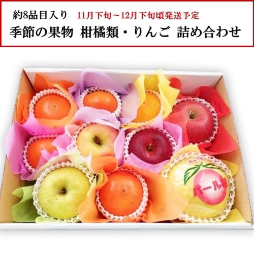 [直送商品]季節の果物 柑橘類・りんご等 約8品目 詰め合わせ 【綿半お歳暮】【11月下旬～12月下旬順次発送】【配送指定日不可】