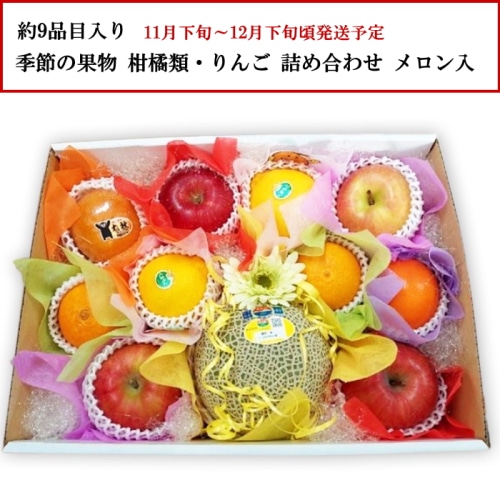 [直送商品]季節の果物 柑橘類・りんご等 約9品目 詰め合わせ メロン入り 【綿半お歳暮】【11月下旬～12月下旬順次発送】【配送指定日不可】