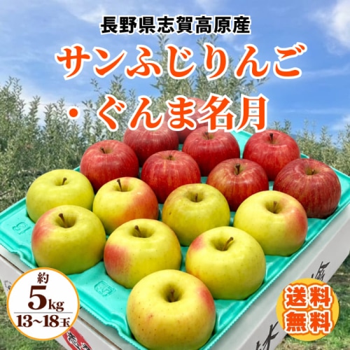 [予約直送]送料無料 サンふじりんご・ぐんま名月 ミックス 5kg 13～18玉(各6～9玉) 【綿半お歳暮】【12/1～12/26順次発送】【配送指定日不可】
