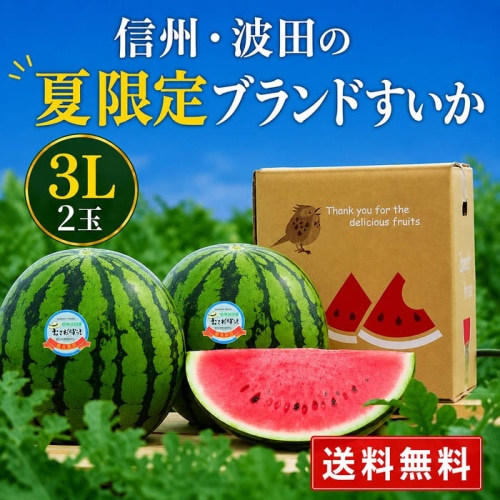 [予約直送]長野県産 波田すいか 羅皇 ザ・スウィート 3L 2玉 【綿半お中元】【7月後半～8月中旬順次発送】【配送指定日不可】