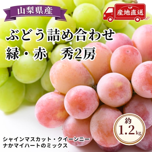 [予約直送]山梨県産ぶどう詰め合わせ シャインマスカット クイーンニーナかマイハート 秀2房 約1.2kg 【綿半秋の果物】【9月初旬～10月下旬順次発送】【配送指定日不可】