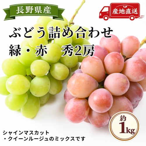 [予約直送]長野県産ぶどう詰め合わせ シャインマスカット・クイーンルージュ 秀2房 約1kg 【綿半秋の果物】【9月下旬～10月下旬順次発送】【配送指定日不可】